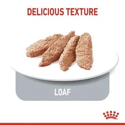 پوچ رژیمی سگ رویال کنین مدل لایت ویت | Light Weight care
