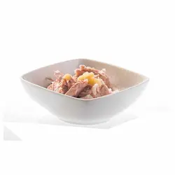 کنسرو بچه گربه شسیر با طعم ماهی تن و آلوئه وزن 85 گرم