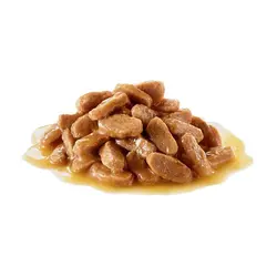 پوچ سگ رویال کنین مدل مینی پاپی | Mini Puppy وزن 85 گرم