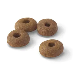 غذای خشک گربه رویال کنین مدل فیت | FiT