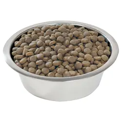 غذای خشک سگ نژاد بزرگ پروپلن مدل Large Robust وزن 3 کیلوگرم