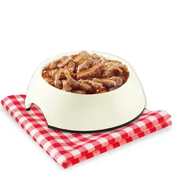 پوچ سگ استوزی با طعم ماهی سفید وزن 100 گرم