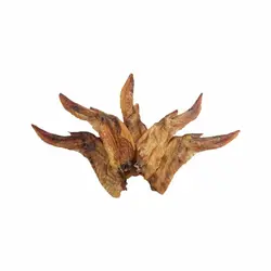 تشویقی بال مرغ مدکو مخصوص سگ بسته 5 عددی