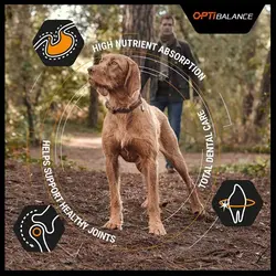 غذای خشک سگ نژاد کوچک پروپلن مدل Optibalance وزن 3 کیلوگرم