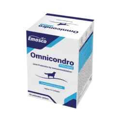 قرص omnicondro امسکو مخصوص سگ و گربه مخصوص مراقبت از مفصل