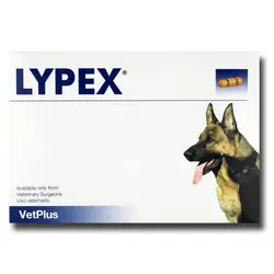 قرص مکمل درمان پانکراس Lypex وت پلاس مخصوص سگ و گربه