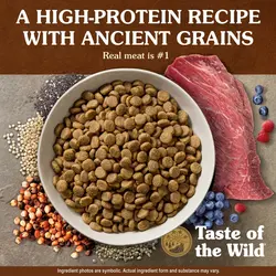 غذای خشک سگ تیست اف د وایلد مدل Ancient Prairie