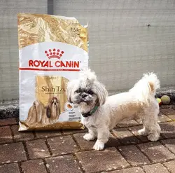 غذای خشک رویال کنین مخصوص سگ بالغ نژاد شیتزو | Shihtzu Adult وزن 7.5 کیلوگرم