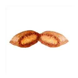 تشویقی دریمیز گربه با طعم سالمون و پنیر وزن ۶۰ گرم