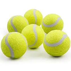 توپ بازی سگ AFP مدل fetch balls