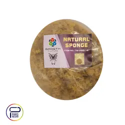 اسفنج دریایی طبیعی GROWTH CULTURE کد TM-HM5-6