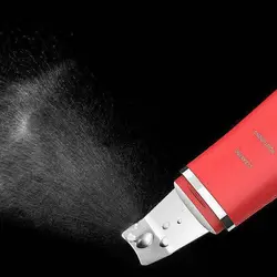 دستگاه اتو صورت التراسونیک گوداسکای GOODSKY