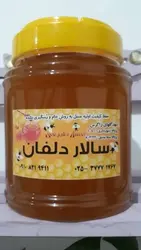 عسل سالار دلفان یک کیلویی