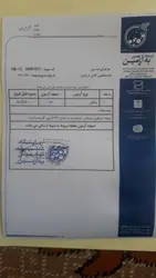 عسل سالار دلفان یک کیلویی