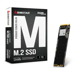 اس اس دی اینترنال بایوستار مدل M700 ظرفیت 1 ترابایت