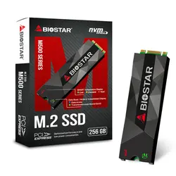 اس اس دی اینترنال بایوستار مدل M500 ظرفیت 256 گیگابایت