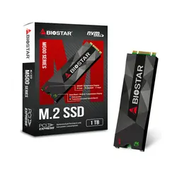 اس اس دی اینترنال بایوستار مدل M500 ظرفیت 1 ترابایت