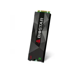 اس اس دی اینترنال بایوستار مدل M500 ظرفیت 1 ترابایت