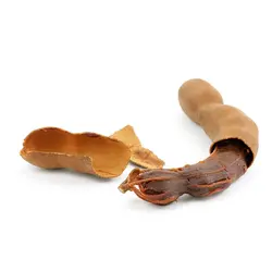 نهال تمر هندی شیرین