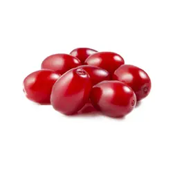 نهال زغال اخته پیوندی