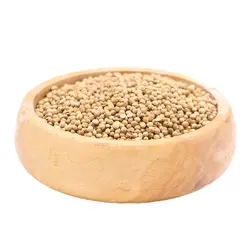 تخم گشنیز