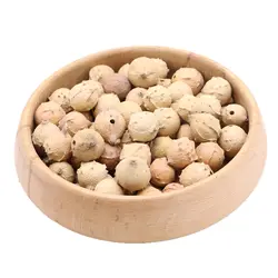 مازو
