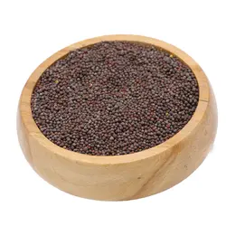 خردل سیاه