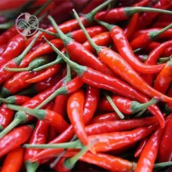 بذر فلفل تند تایلندی
