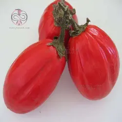 بذر بادمجان قرمز