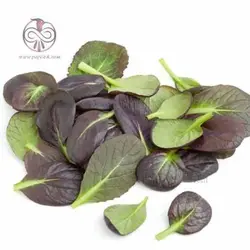 بذر اسفناج خردل ژاپنی قرمز