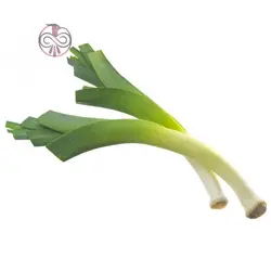 بذر تره فرنگی پا بلند