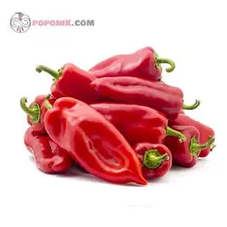 بذر فلفل پاپریکا تند