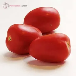 بذر گوجه فرنگی تخم مرغی قرمز