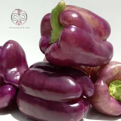 بذر فلفل دلمه ای بنفش