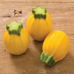 بذر کدو توپی زرد