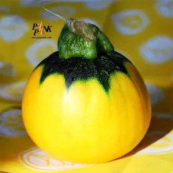 بذر کدو توپی زرد