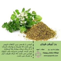 مجموعه بذر آویشن