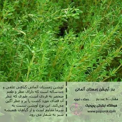 مجموعه بذر آویشن