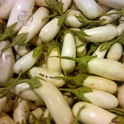 بذر بادمجان سفید گوست باستر