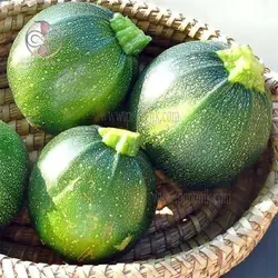 بذر کدو توپی سبز