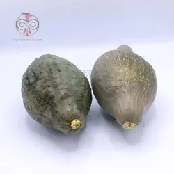 بذر کدو تنبل آبی هیوبارد