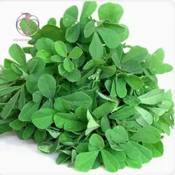 بذر شنبلیله اردستانی