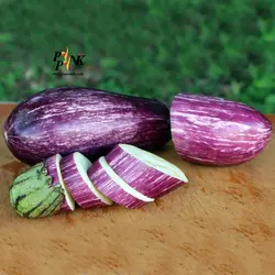 بذر بادمجان نوار بلند