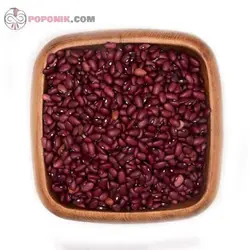 لوبیا قرمز جیگری