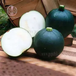 بذر کدو توپی سیاه