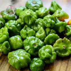 بذر فلفل اجی دو سی سبز