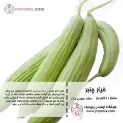 مجموعه بذر خیار