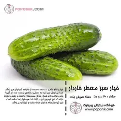 مجموعه بذر خیار