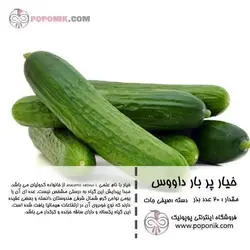 مجموعه بذر خیار