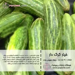 مجموعه بذر خیار